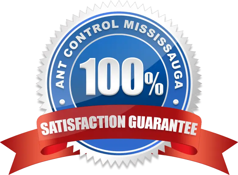 100% Satisfaction Guarantee