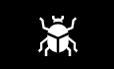 Carpet Beetals Extermination