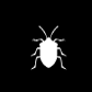 Stink Bugs Removal